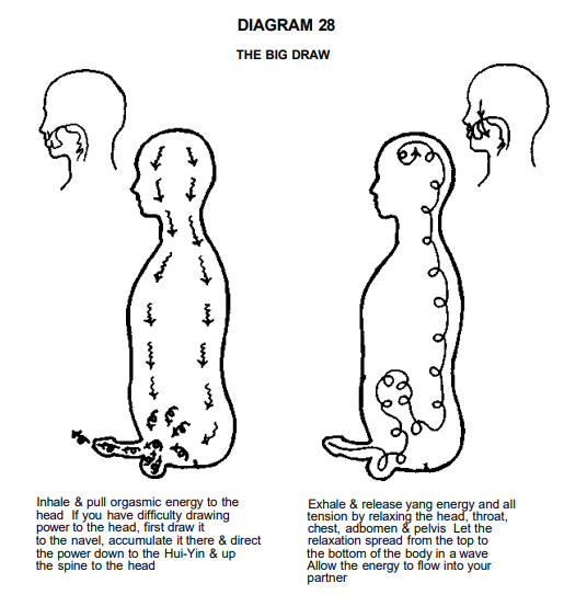 Actual Sex tweet media