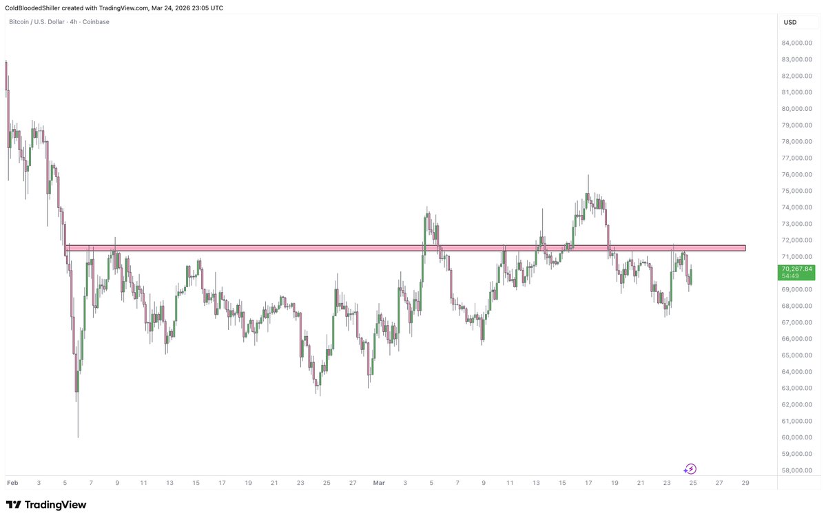 Cold Blooded Shiller tweet media