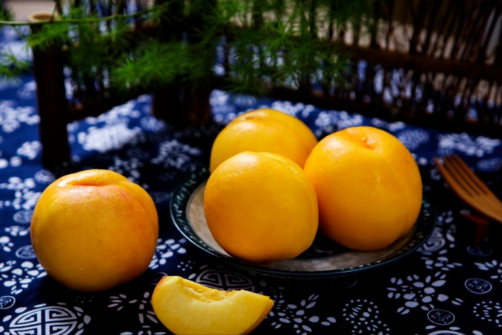 Lasttrey tweet media