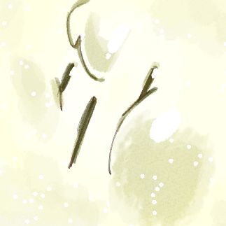 박사카(SAKA) tweet media