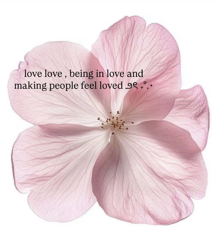 𓈒 ࣪ ˖ tweet media