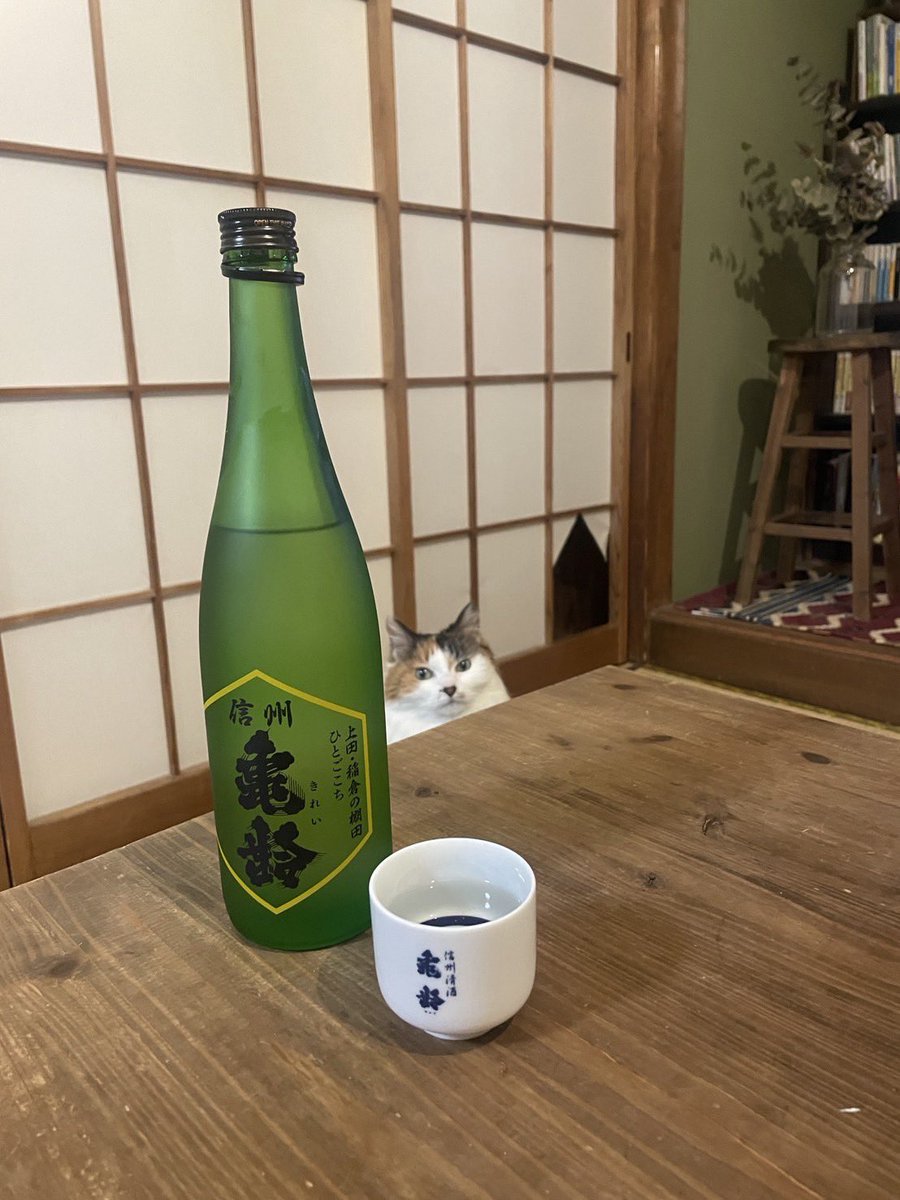 Ima_komomo's tweet photo. 気づいたら日本酒のことをポストするのが1年振り、、それなりには今も飲んでます。
近所の飲み屋さんで知り合った方が奇跡的に
信州亀齢の酒米オーナーさんで1本譲っていただきました。めっちゃフレッシュ！！

・信州亀齢 純米吟醸 ひとごこち
上田・稲倉の棚田

#日本酒
#信州亀齢 https://t.co/zcpxrUl6Qu