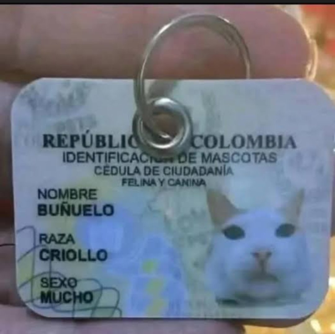 gente o pitico tem rg agr, viva a cidadania
