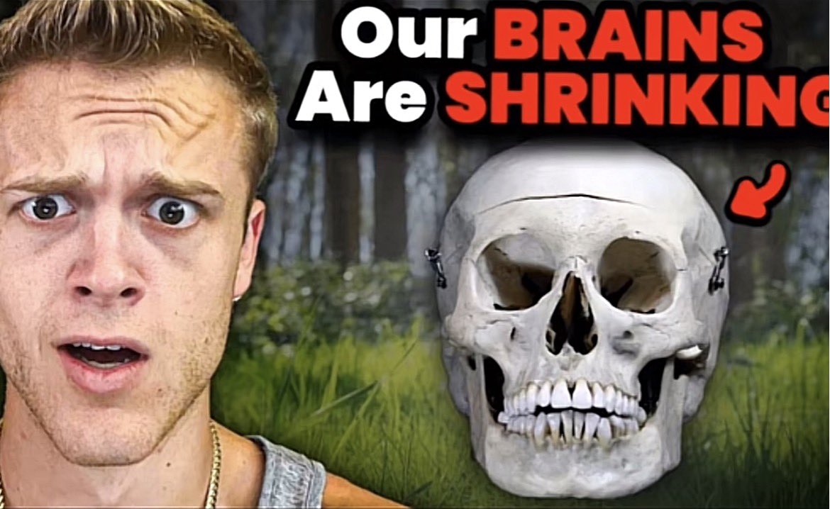 GustavWX tweet media