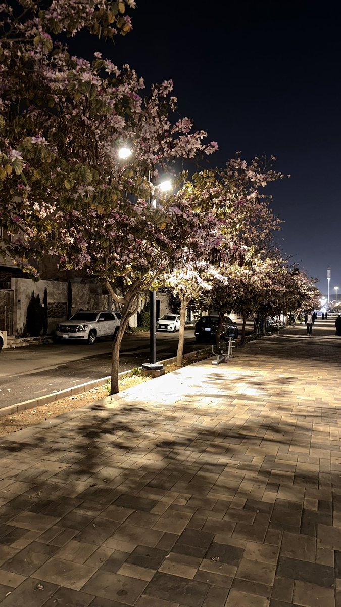 أحلام|Ahlam tweet media