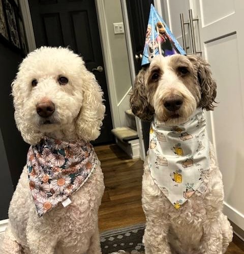 I just wanted to show you all some of the bandanas I got for my birthday.
Mom got Macie one too 😁