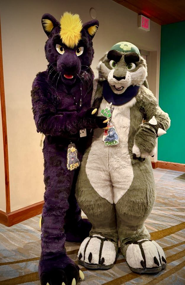 Fnook The Bunny🐰 🔜 FE 2026 tweet media