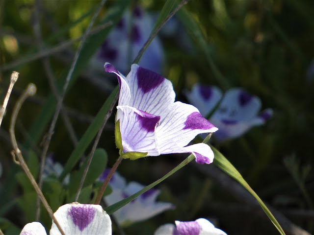 Garry Hayes tweet media