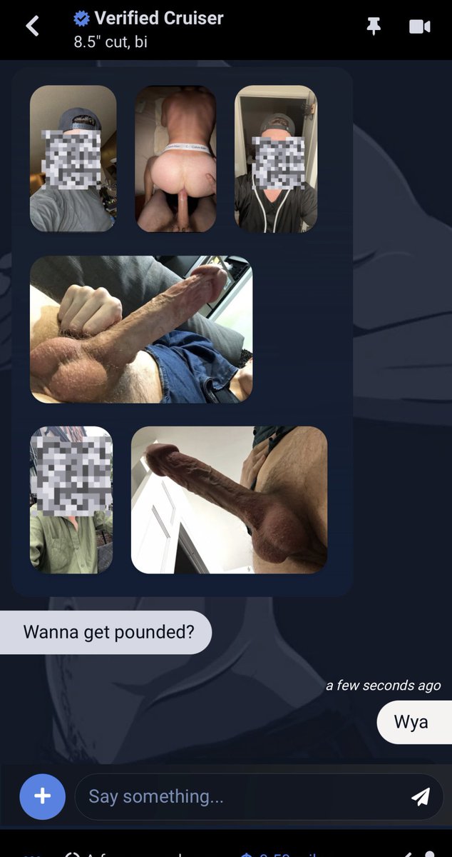 sam ledger tweet media