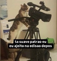 sidy 📹🌱 tweet media