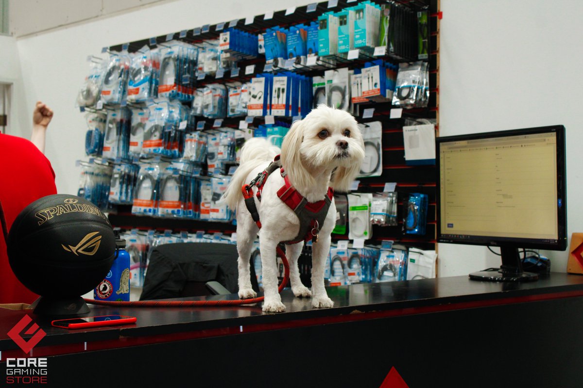 Core Gaming Store tweet media