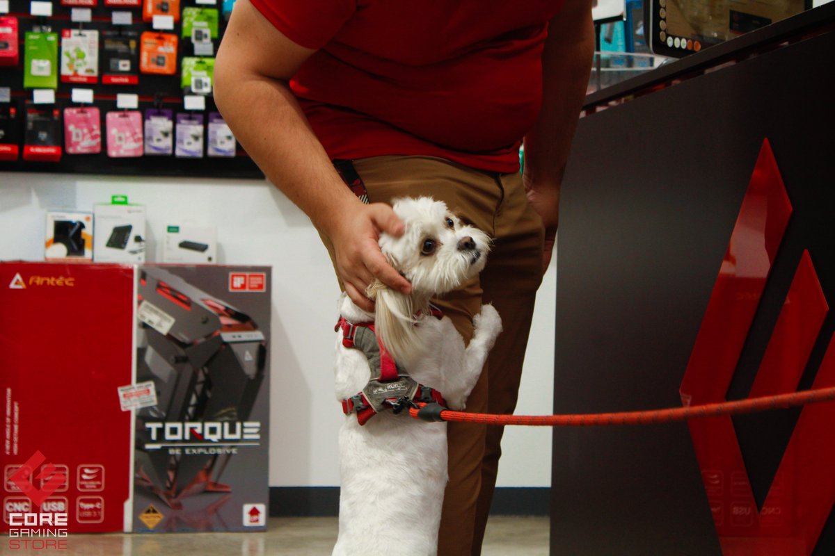 Core Gaming Store tweet media
