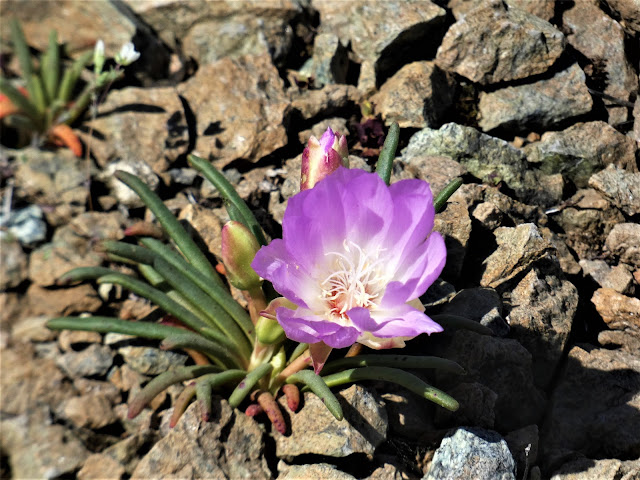 Garry Hayes tweet media