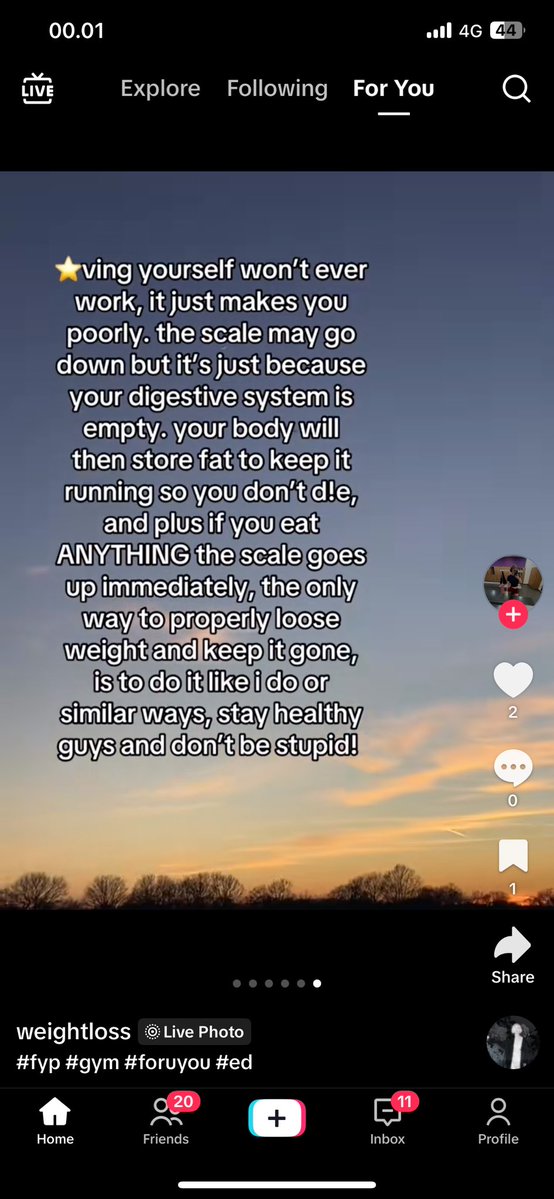 claw 🧁 tweet media