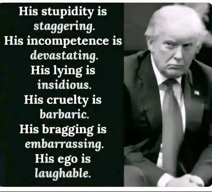 L. Stevenson tweet media