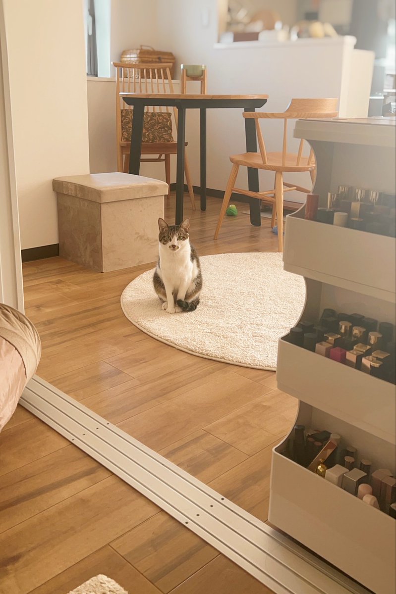 ドーナツてるの tweet media