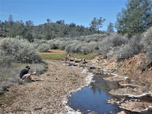 Garry Hayes tweet media