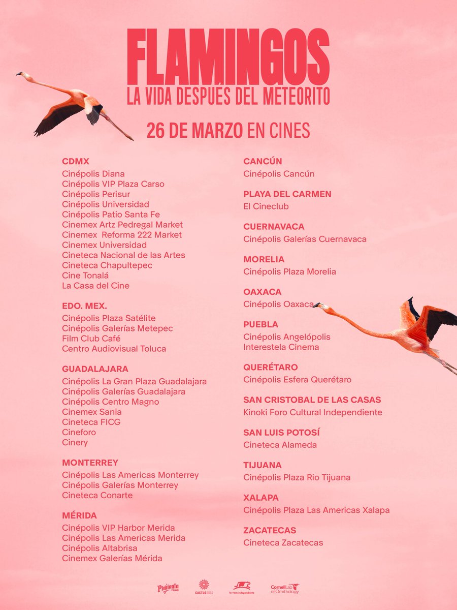 Pimienta Films tweet media