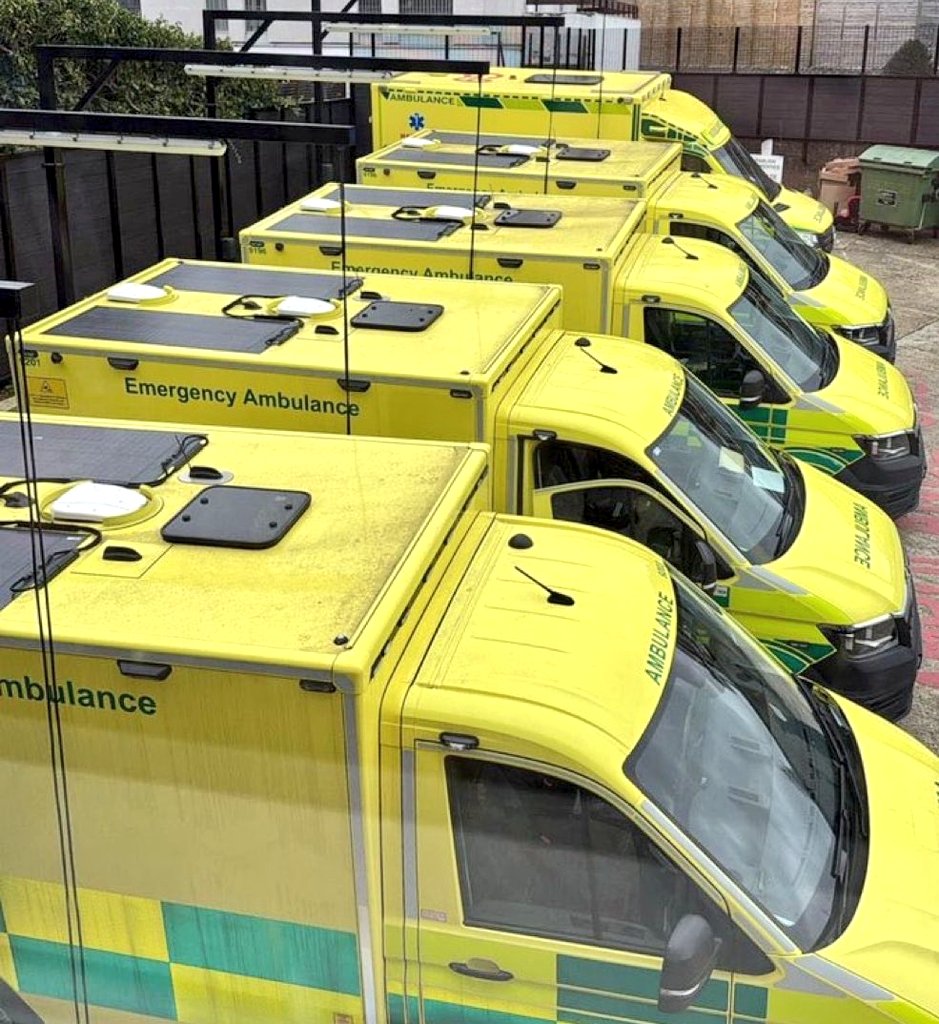 Ita Schvartzman Moseinco בתיה בת פנחס tweet media