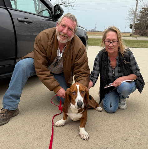 Guardian Angel Basset Rescue tweet media