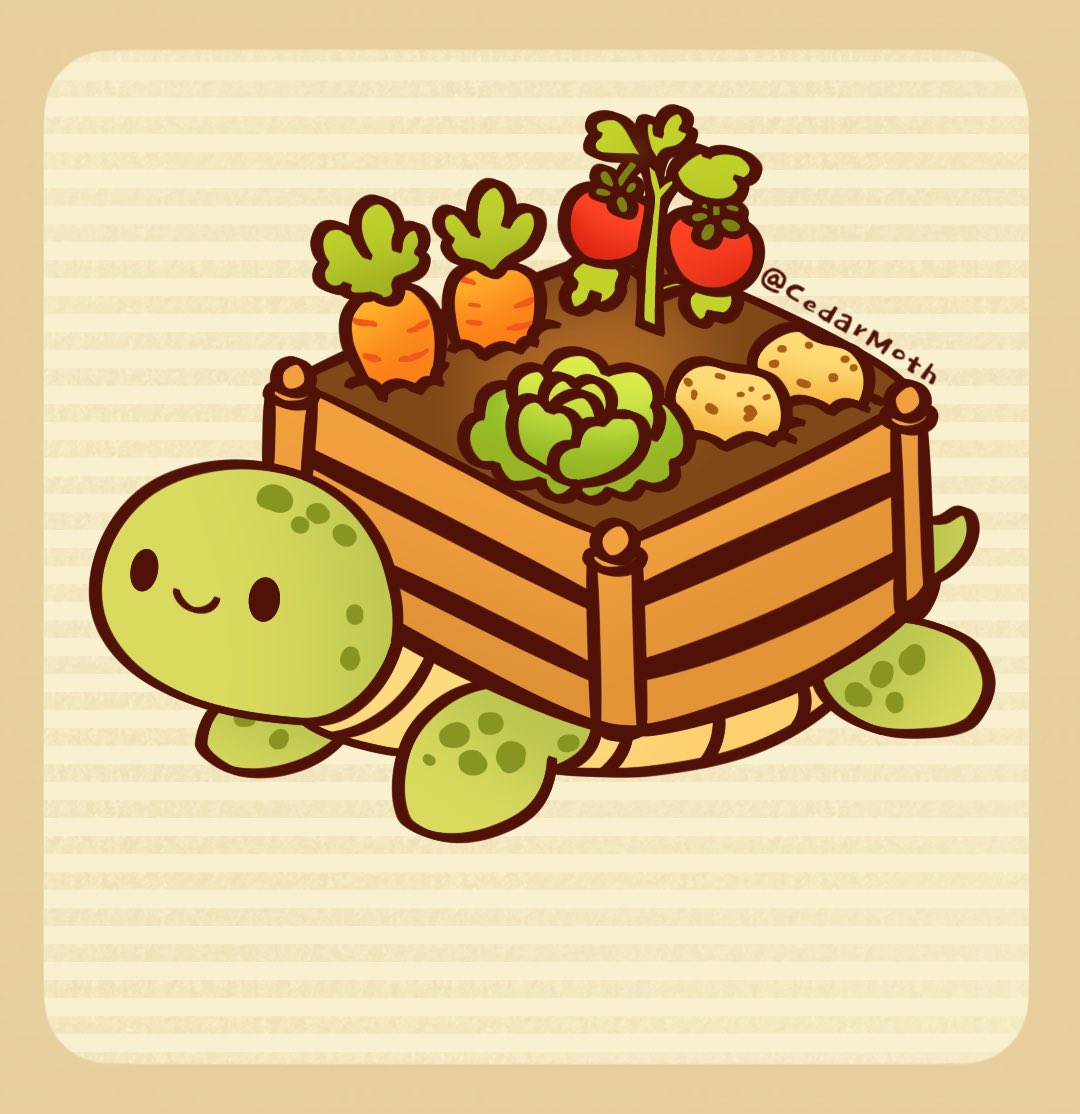 CedarMoth tweet media