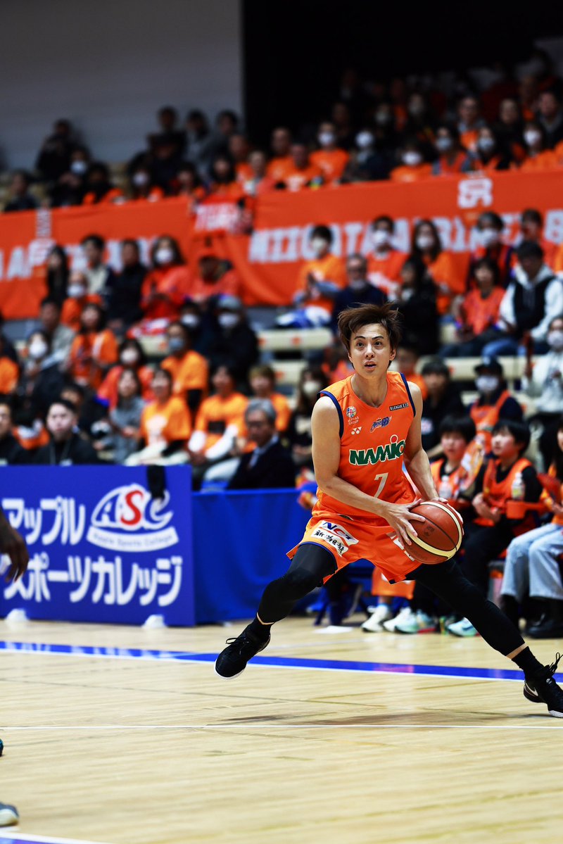 一匹猫 📸 tweet media