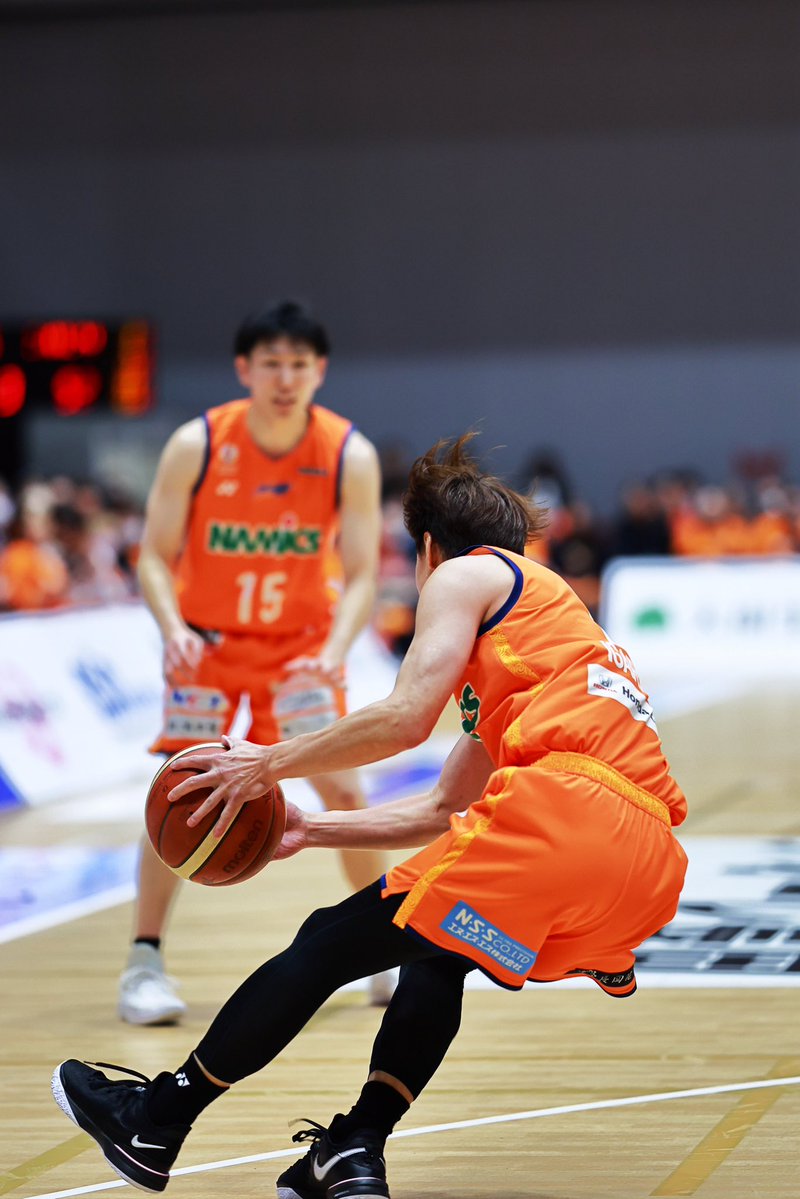 一匹猫 📸 tweet media