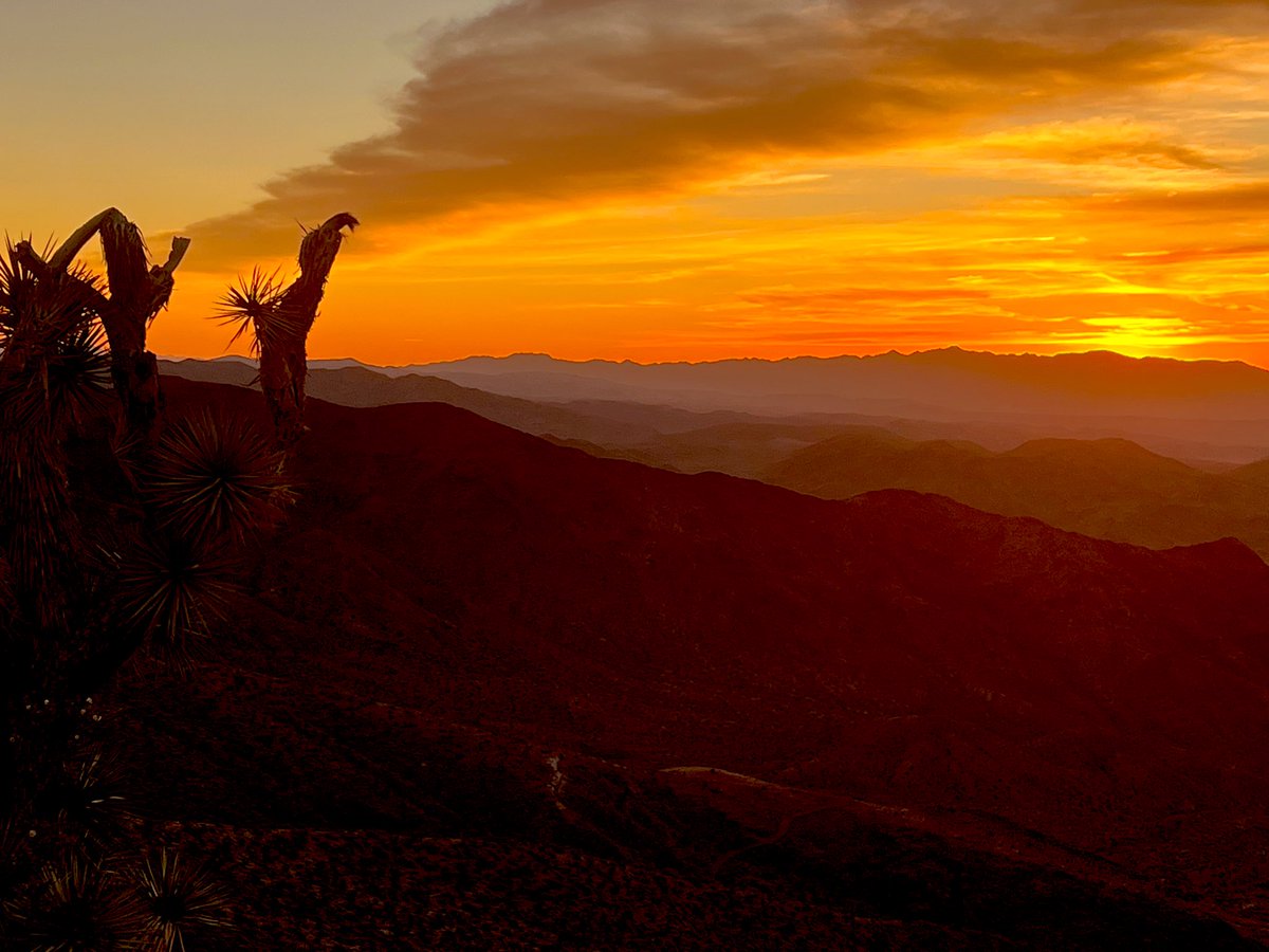 Flawwed1 tweet media