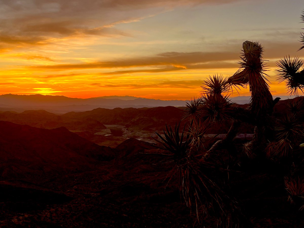 Flawwed1 tweet media