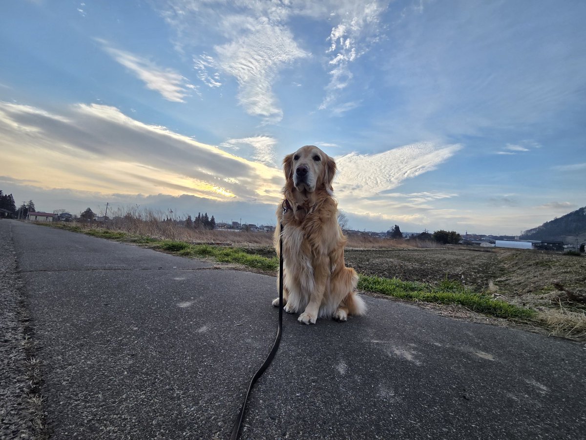 モッピー tweet media