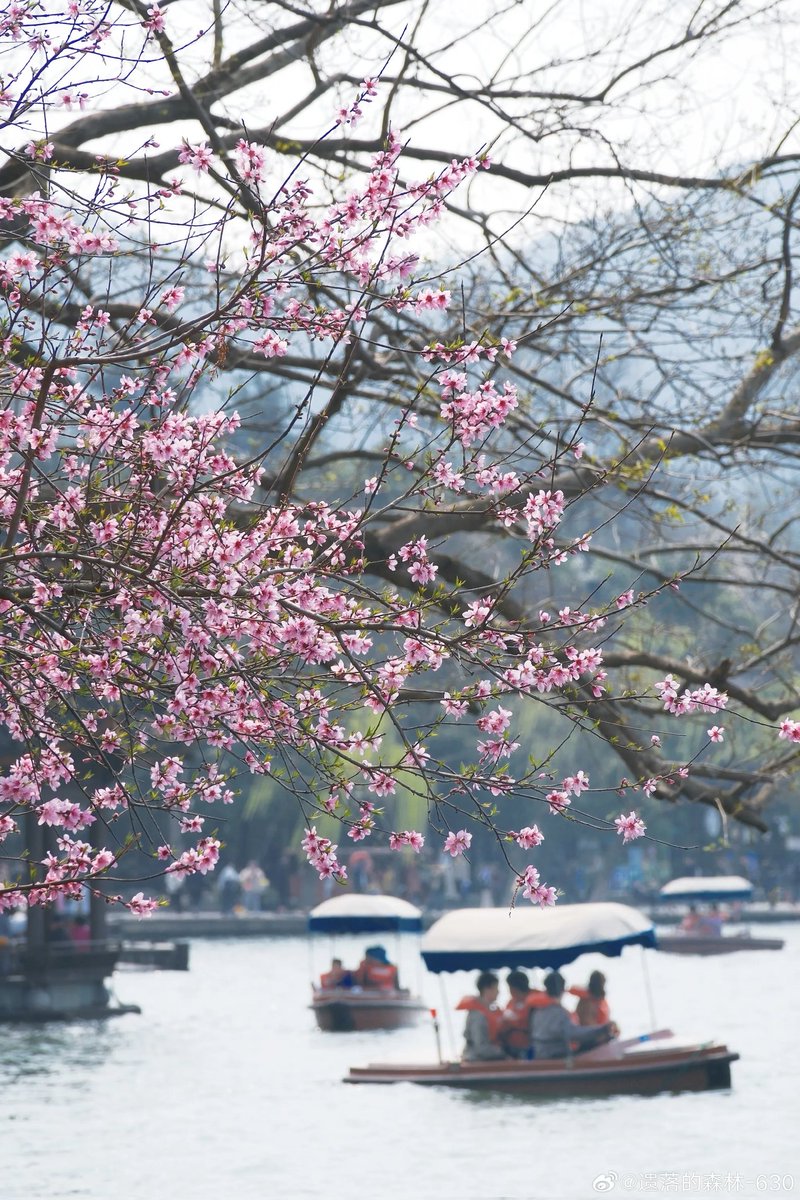 Yislee000(互FO🥂) tweet media