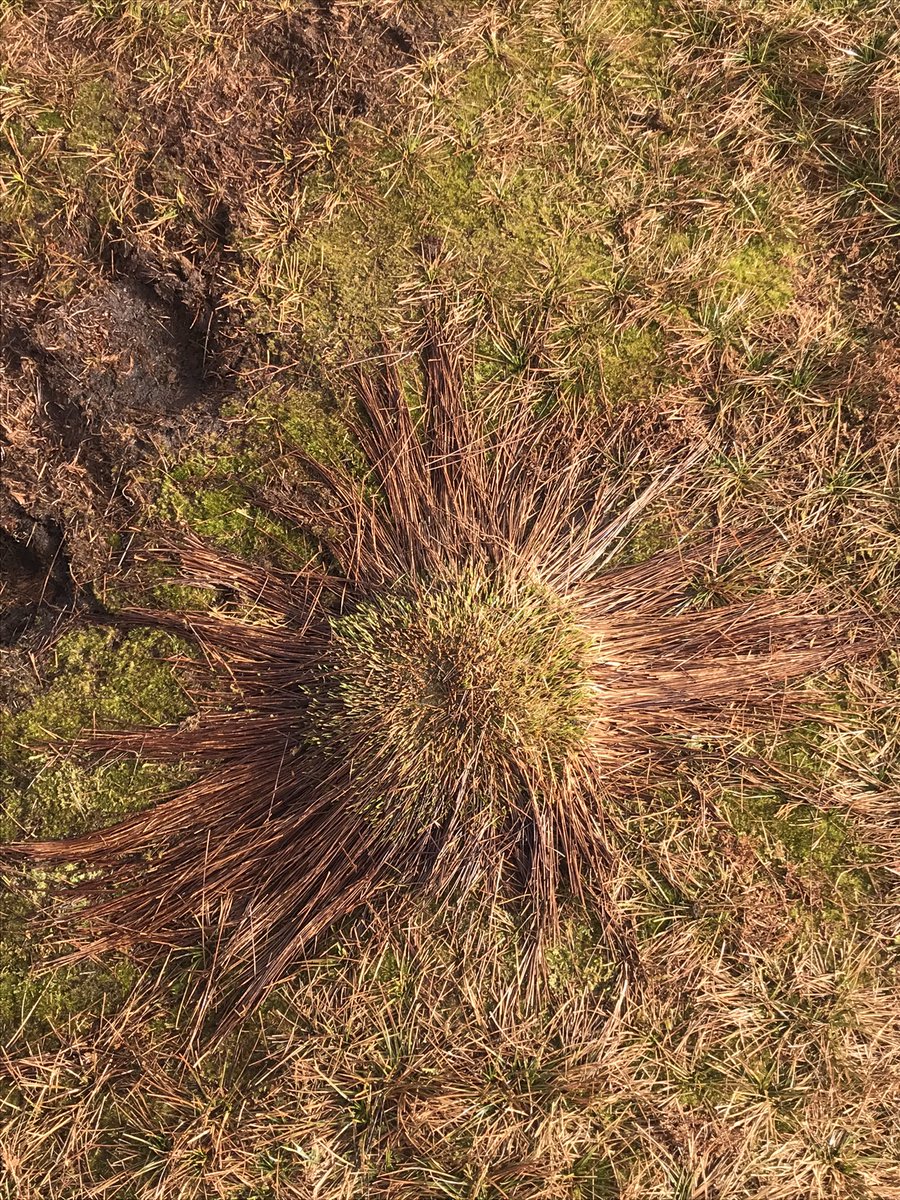 Tina Clarke tweet media