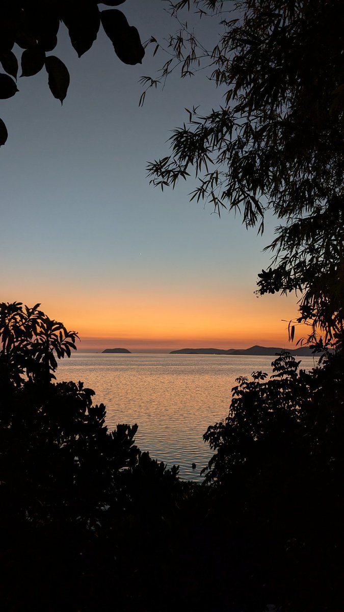 くみ🔰英語が話せる自信と自由を手に入れる🌈初心者🔰英語コーチ tweet media