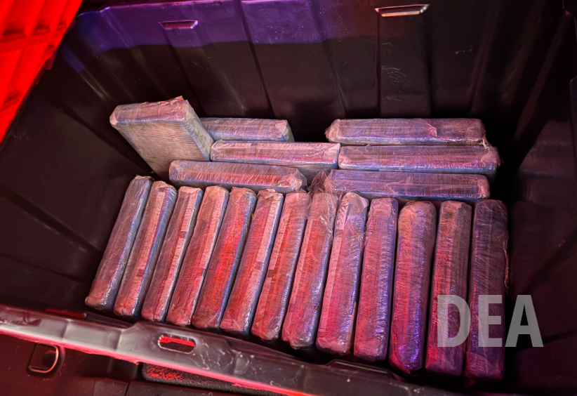 DEALosAngeles tweet media