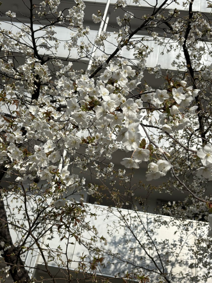 森 めぐみ|ライター tweet media