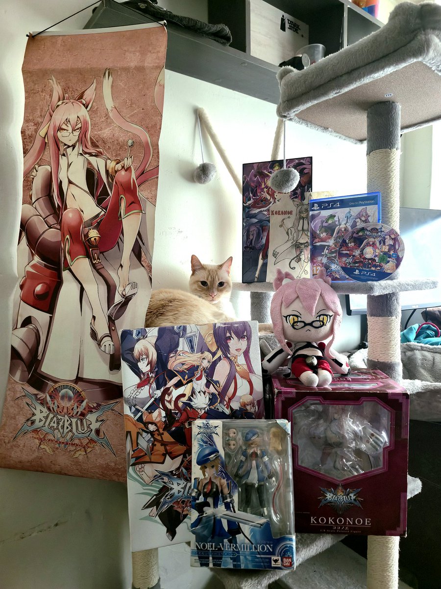 LordMacoT Kokoamigo tweet media