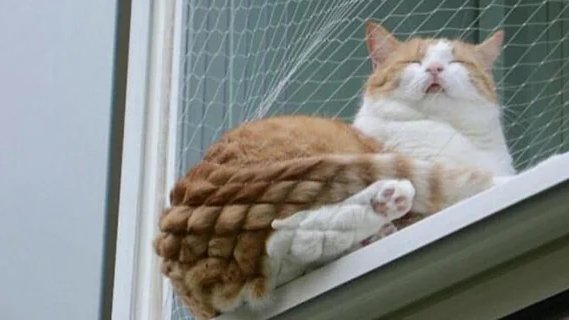 𝓦𝓮𝓷𝓭𝔂 "Mercy Manic" tweet media