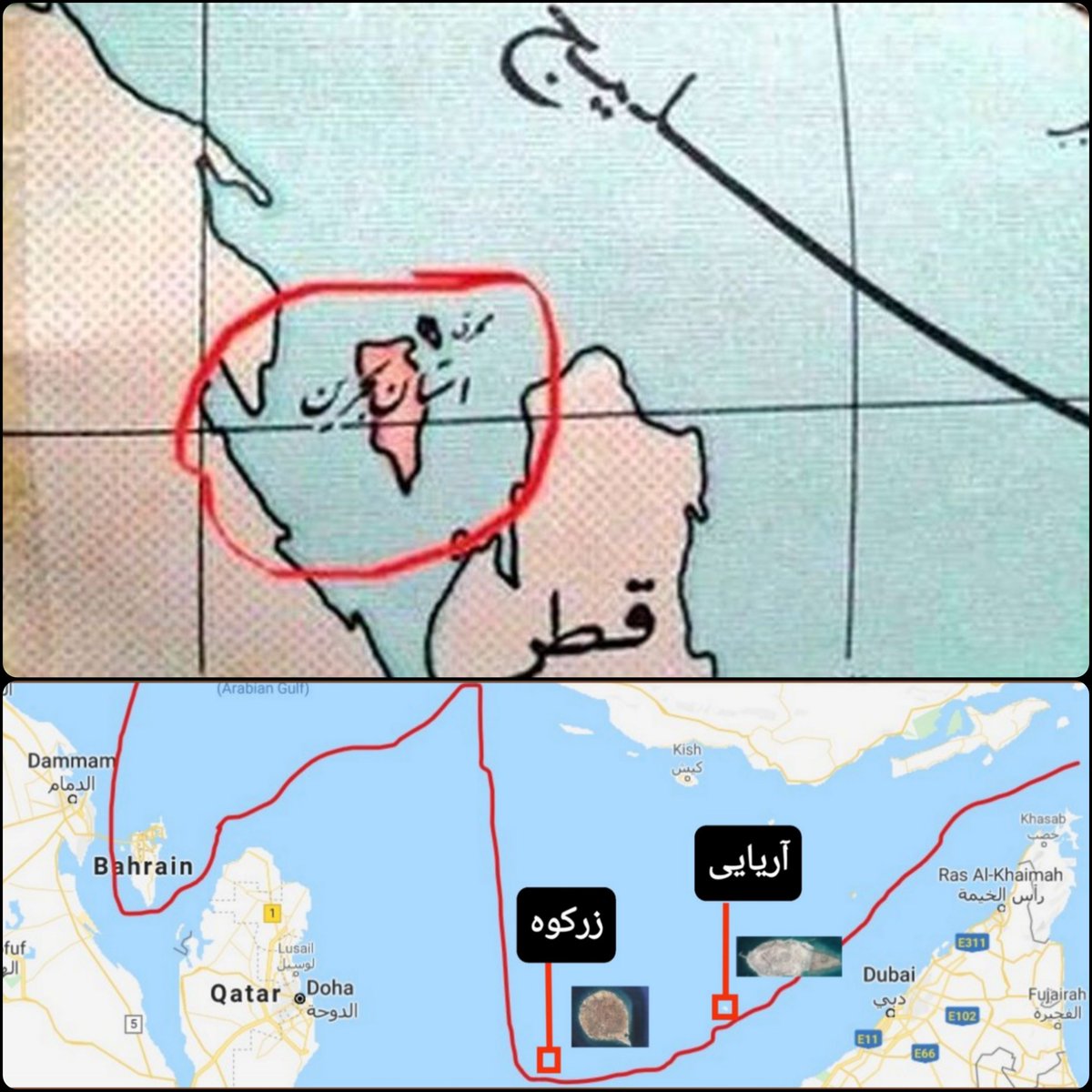 محمدمهدی‌مصلحی𓂆🟥☫🟩 tweet media