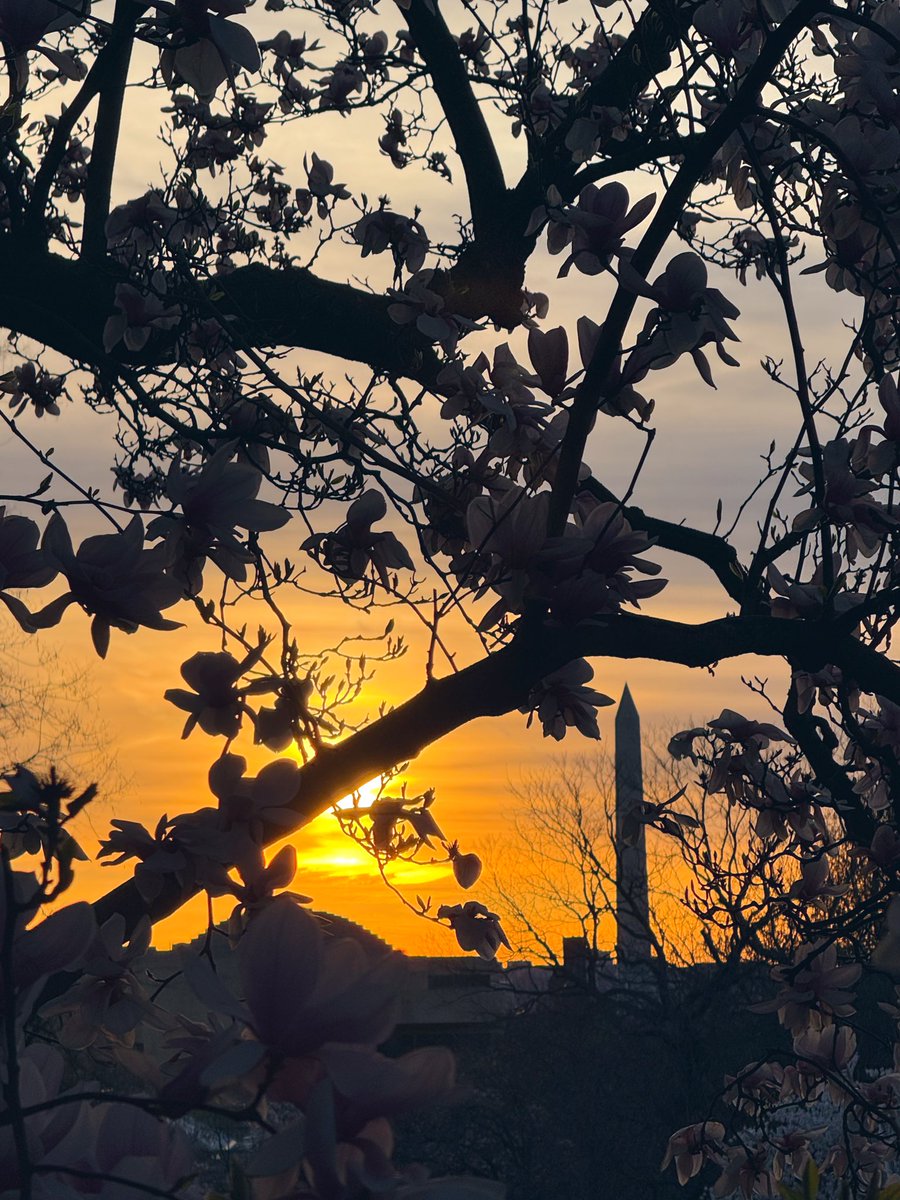 DC beautiful tonight at sunset <a href="/capitalweather/">Capital Weather Gang</a>