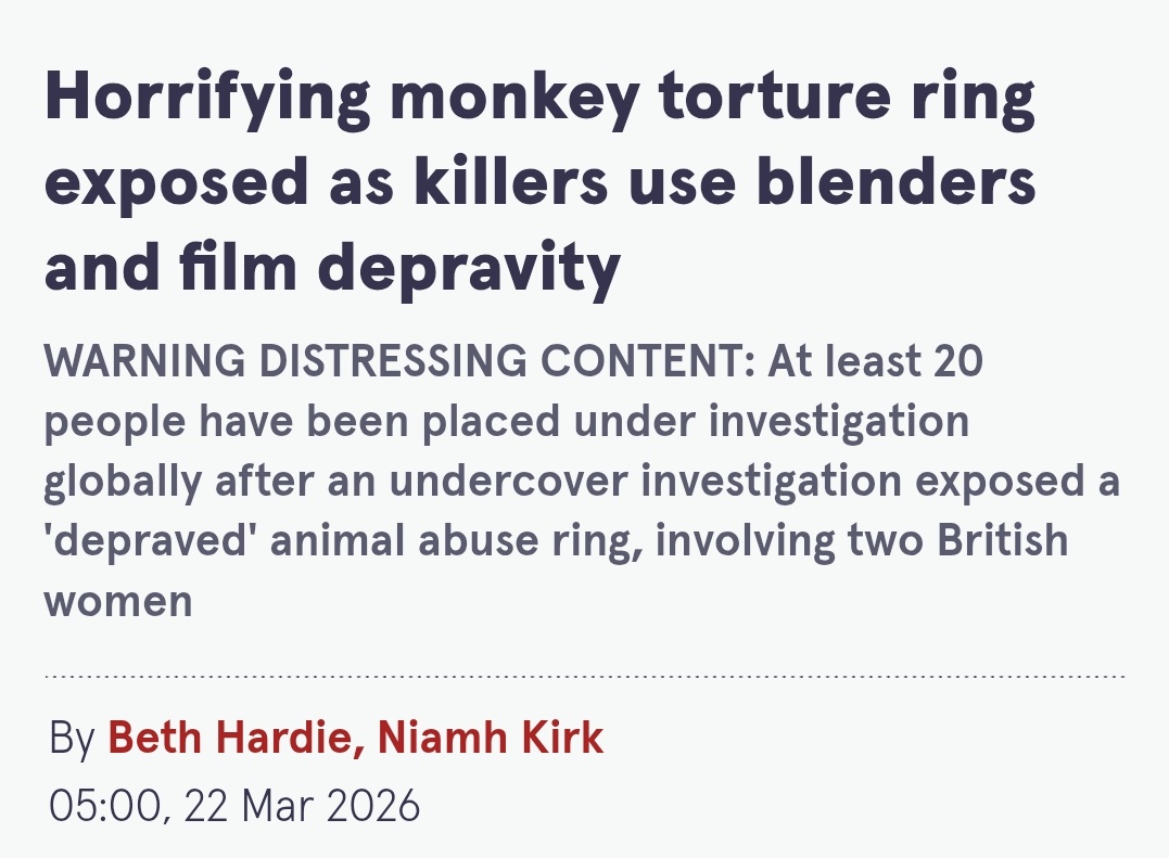 Robert Skvarla tweet media