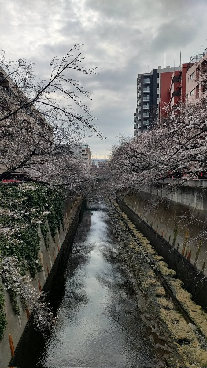 25th【スタジオイブキ】モーションキャプチャースタジオ tweet media