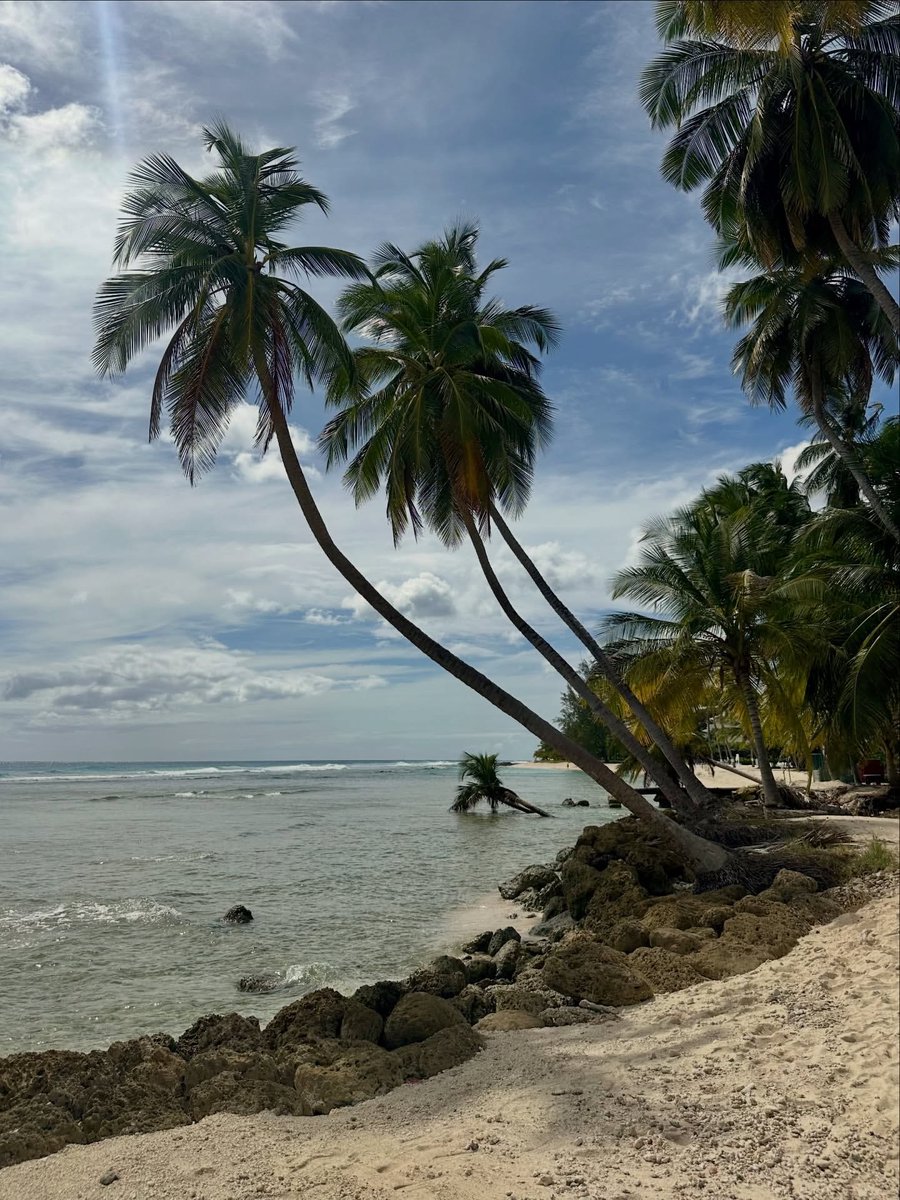 Barbados's tweet image. Some of the best views in the world can be found right here in Barbados.🇧🇧🌊

With postcard moments, everywhere you look. Our island is full of views that stay with you long after you leave.

📸: @sademings, thanks for sharing!

#MyBarbados #LoveBarbados #VisitBarbados