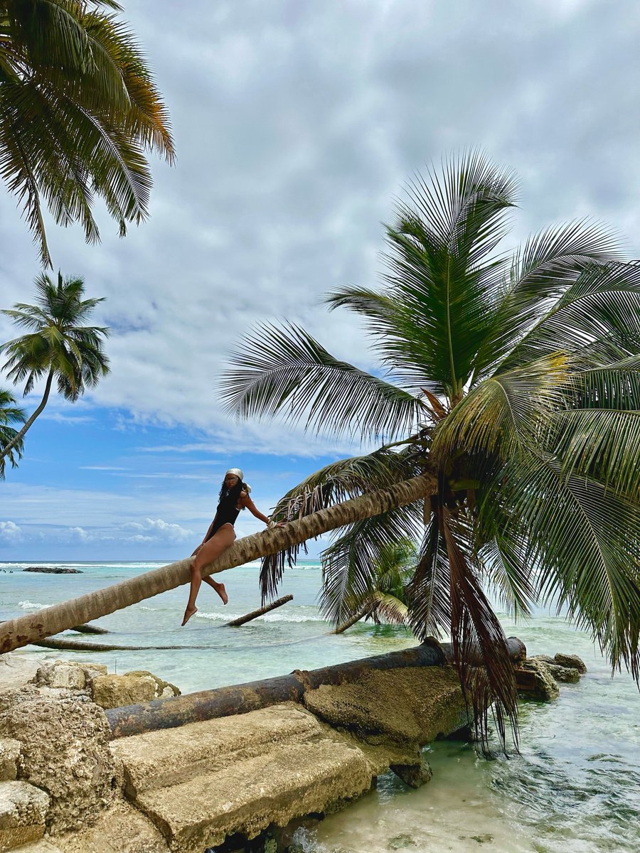 Barbados's tweet image. Some of the best views in the world can be found right here in Barbados.🇧🇧🌊

With postcard moments, everywhere you look. Our island is full of views that stay with you long after you leave.

📸: @sademings, thanks for sharing!

#MyBarbados #LoveBarbados #VisitBarbados