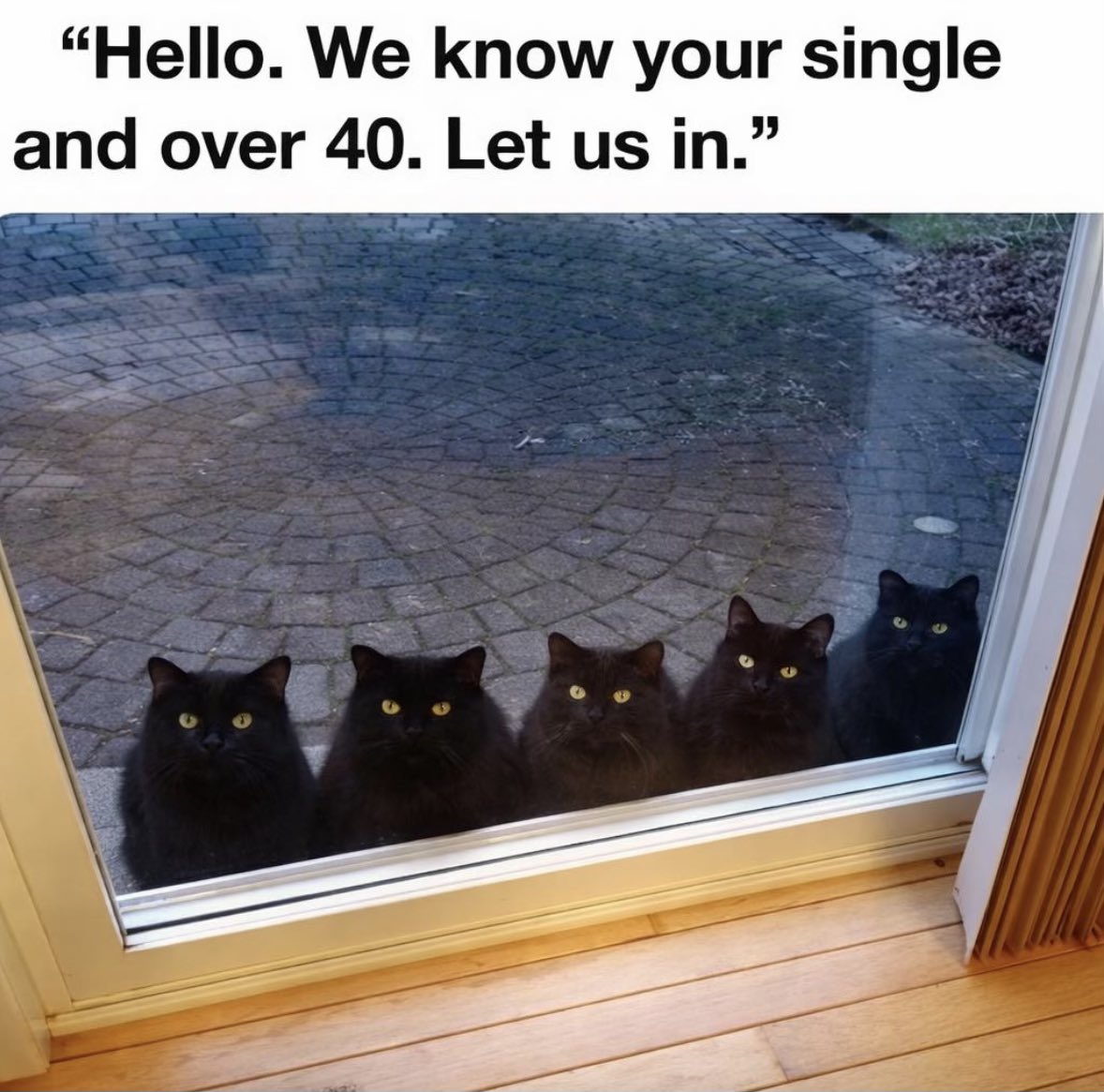 Michael W. Freeman tweet media