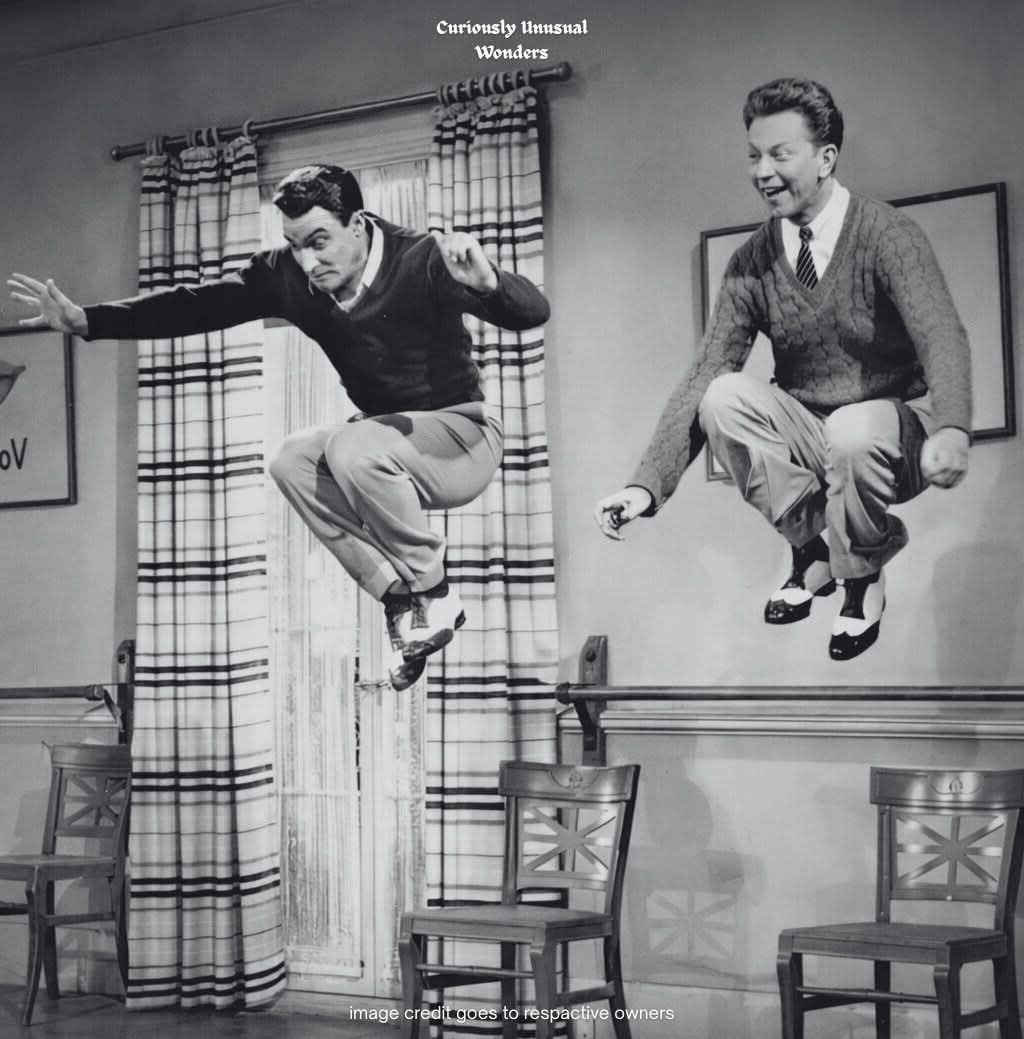 The Husky tweet media