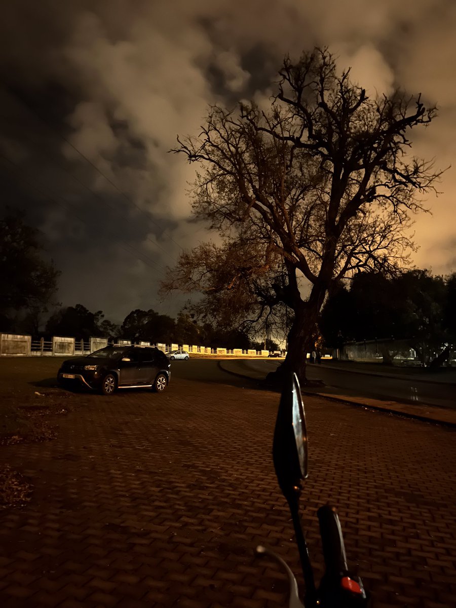 bojackgirll's tweet image. #takemeback