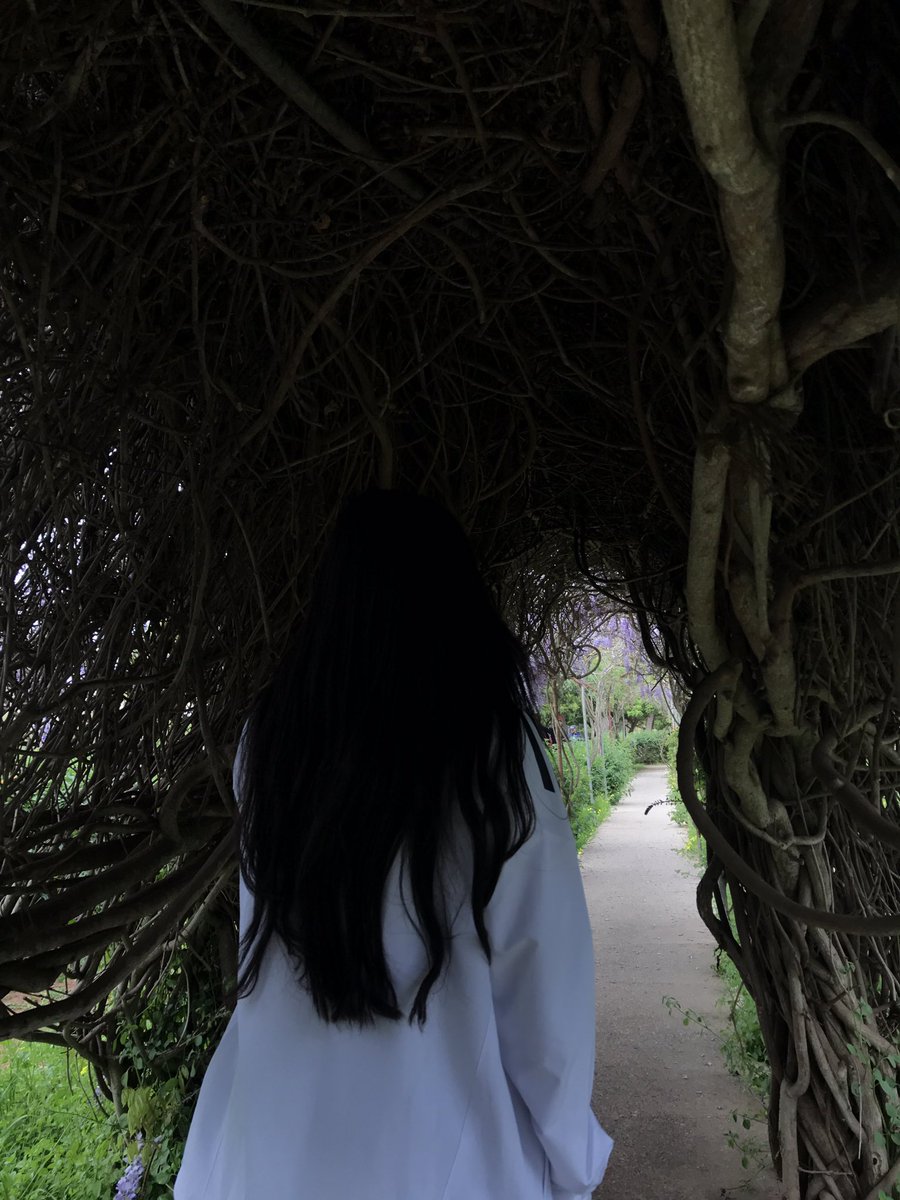 bojackgirll's tweet image. #takemeback