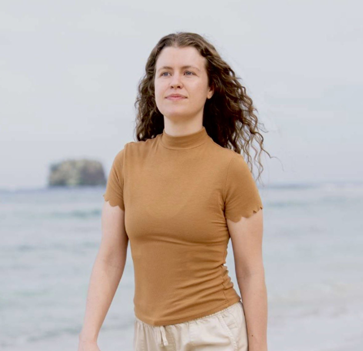 Elephant from Gabon tweet media