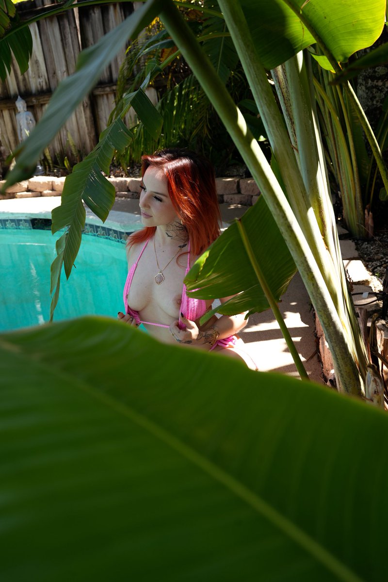 isla wild tweet media