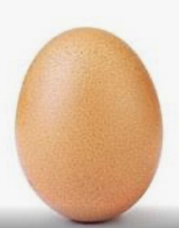 The Sprite Collector™️ tweet media